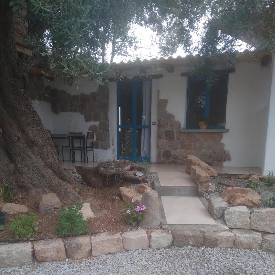 Sole In Ogliastra Bed & Breakfast Jerzu Ngoại thất bức ảnh