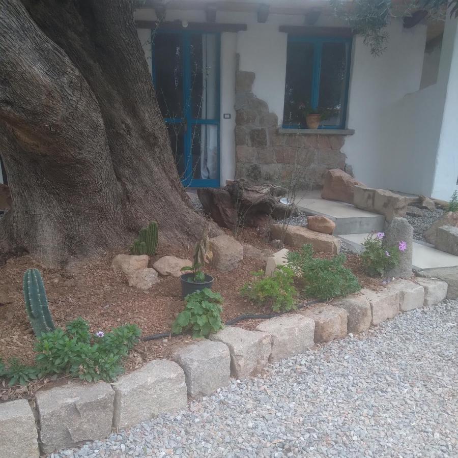 Sole In Ogliastra Bed & Breakfast Jerzu Ngoại thất bức ảnh