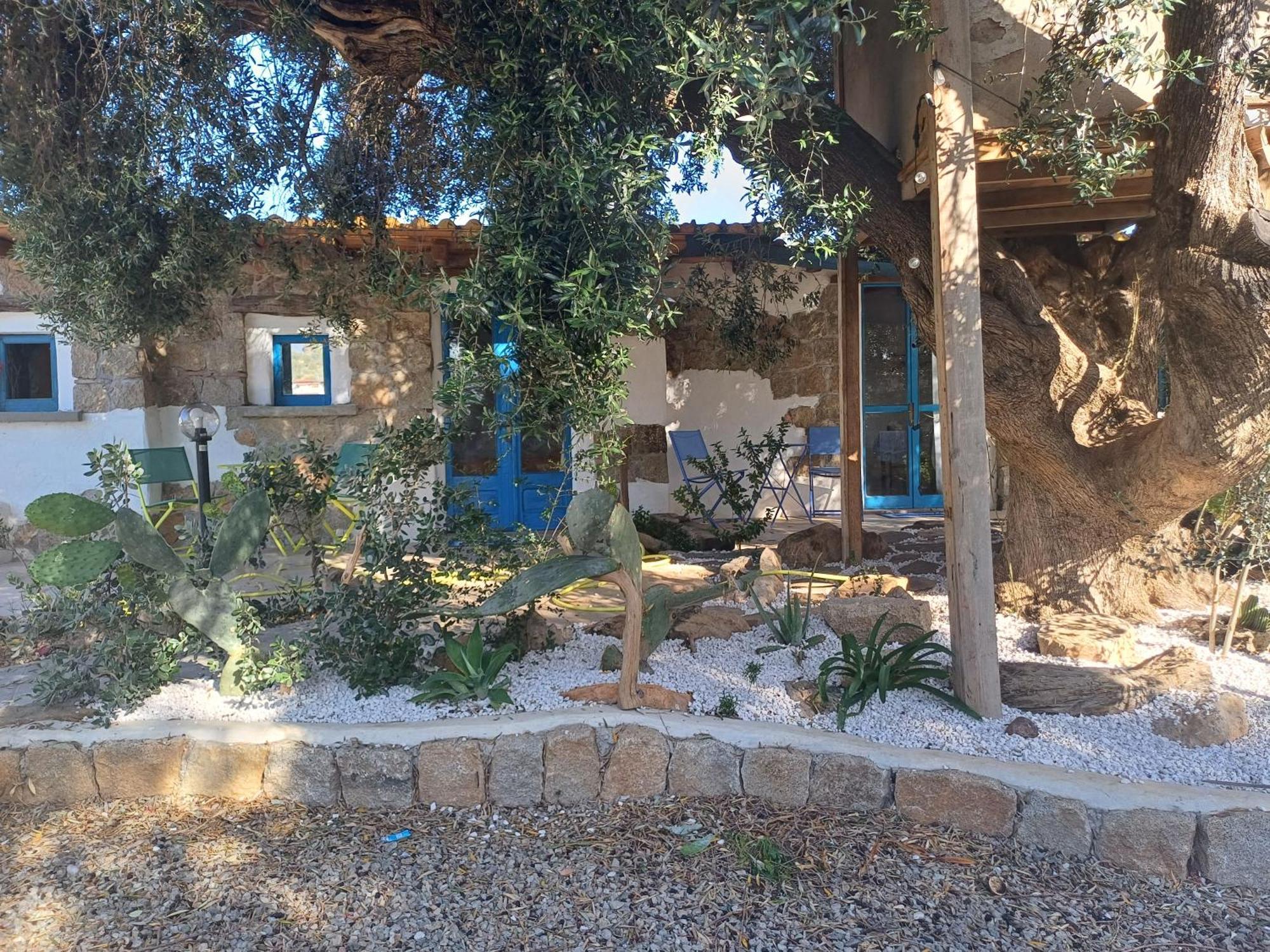 Sole In Ogliastra Bed & Breakfast Jerzu Phòng bức ảnh